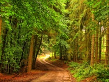 La semaine paroissiale - 9 octobre 2016 La semaine paroissiale - 9 octobre 2016