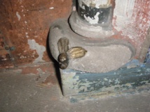 Cherchez les mouches du jubé…. Cherchez les mouches du jubé….