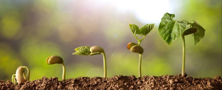 La semaine paroissiale - 24 février 2019 La semaine paroissiale - 24 février 2019