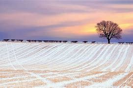 Deuxième dimanche de l'Avent - 6 décembre 2020 Deuxième dimanche de l'Avent - 6 décembre 2020
