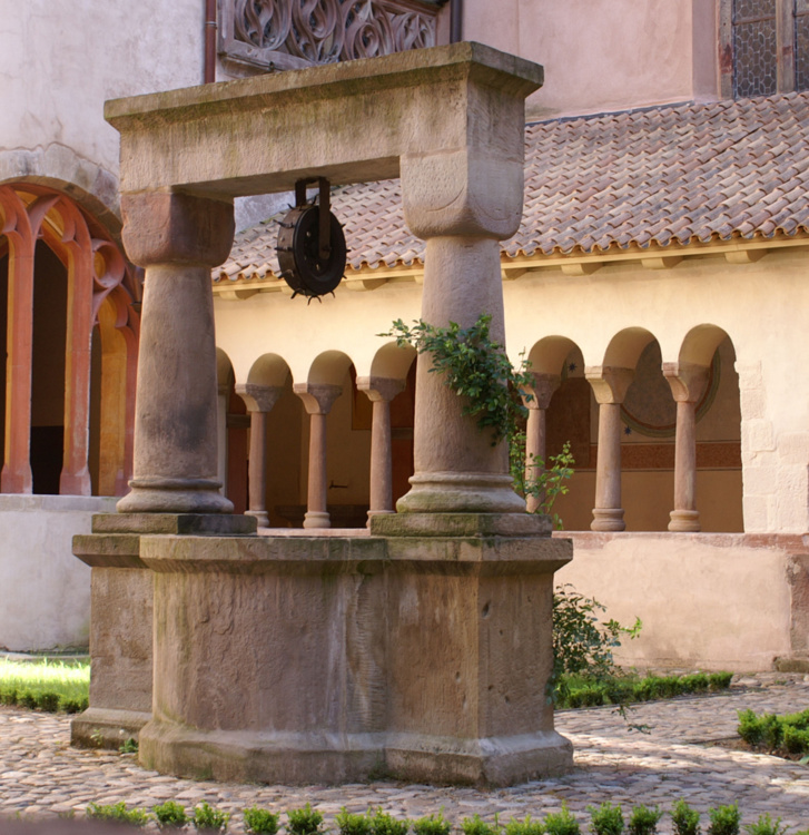 Lecture au cloître - Dimanche 11 juillet 2021