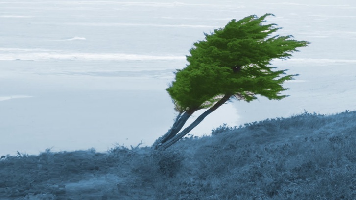 20e dimanche après la Trinité - Dimanche 17 octobre 2021 20e dimanche après la Trinité - Dimanche 17 octobre 2021