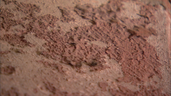 Galerie photo de la restauration Galerie photo de la restauration