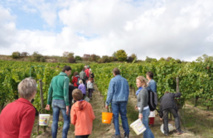 La semaine paroissiale - 1er mars 2015 La semaine paroissiale - 1er mars 2015