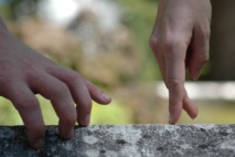 3e dimanche après la Trinité - Dimanche 16 juin 2024 3e dimanche après la Trinité - Dimanche 16 juin 2024