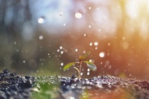 Sexagésime - Dimanche 23 février 2025 Sexagésime - Dimanche 23 février 2025