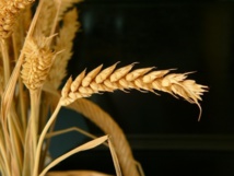 La semaine paroissiale - 6 mars 2016 La semaine paroissiale - 6 mars 2016