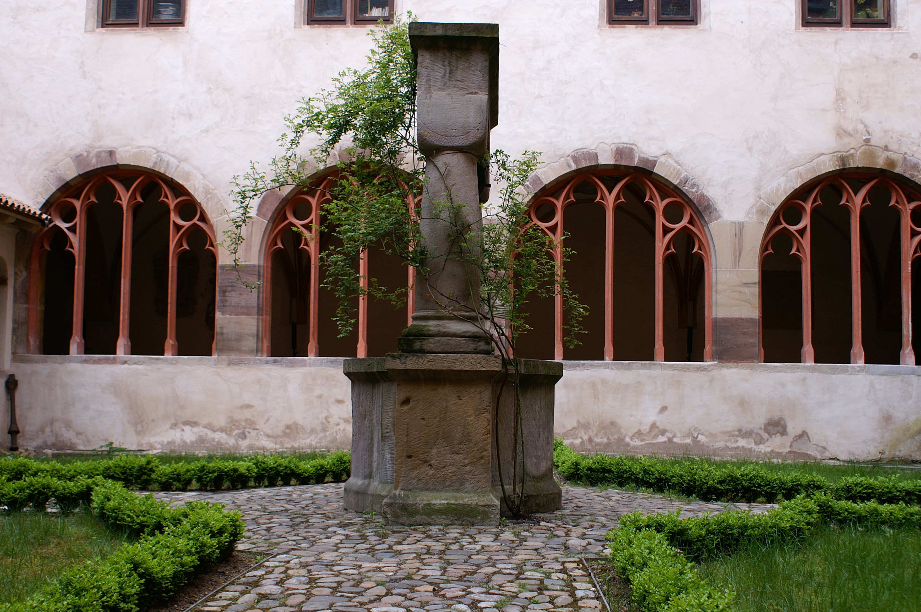 Lecture au cloître - Dimanche 1er août 2021