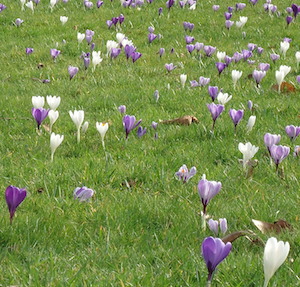 Venez les enfants ! C'est le printemps !