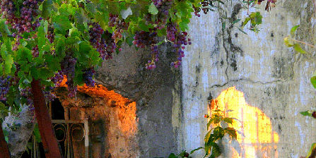 La semaine paroissiale - 21 février 2016 La semaine paroissiale - 21 février 2016