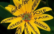 La semaine paroissiale - 22 juillet 2018 La semaine paroissiale - 22 juillet 2018