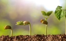 La semaine paroissiale - 24 février 2019 La semaine paroissiale - 24 février 2019