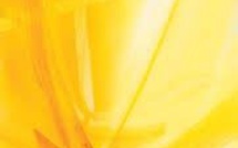 La semaine paroissiale - 21 avril 2019 La semaine paroissiale - 21 avril 2019