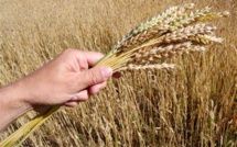 La semaine paroissiale - 21 juillet 2019 La semaine paroissiale - 21 juillet 2019