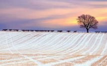 Deuxième dimanche de l'Avent - 6 décembre 2020 Deuxième dimanche de l'Avent - 6 décembre 2020