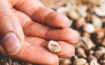 15e dimanche après la Trinité - Dimanche 12 septembre 2021 15e dimanche après la Trinité - Dimanche 12 septembre 2021