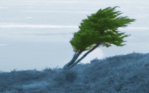 20e dimanche après la Trinité - Dimanche 17 octobre 2021 20e dimanche après la Trinité - Dimanche 17 octobre 2021