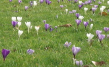 Venez les enfants ! C'est le printemps !