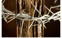 La semaine paroissiale - 29 mars 2015 
