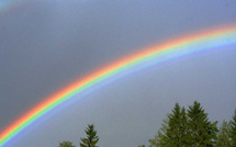 20e dimanche après la Trinité - Dimanche 2 novembre 2025