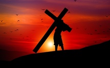 Esto mihi - Dimanche 15 février 2026